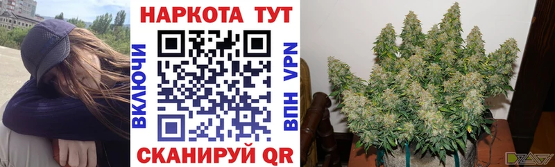 Магазины продажи наркотиков Чудово мега сайт  COCAIN  МДМА 